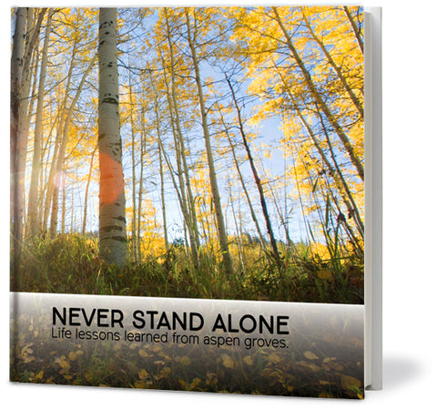 Never Stand Alone: Life Lessons Learned from Aspen Groves